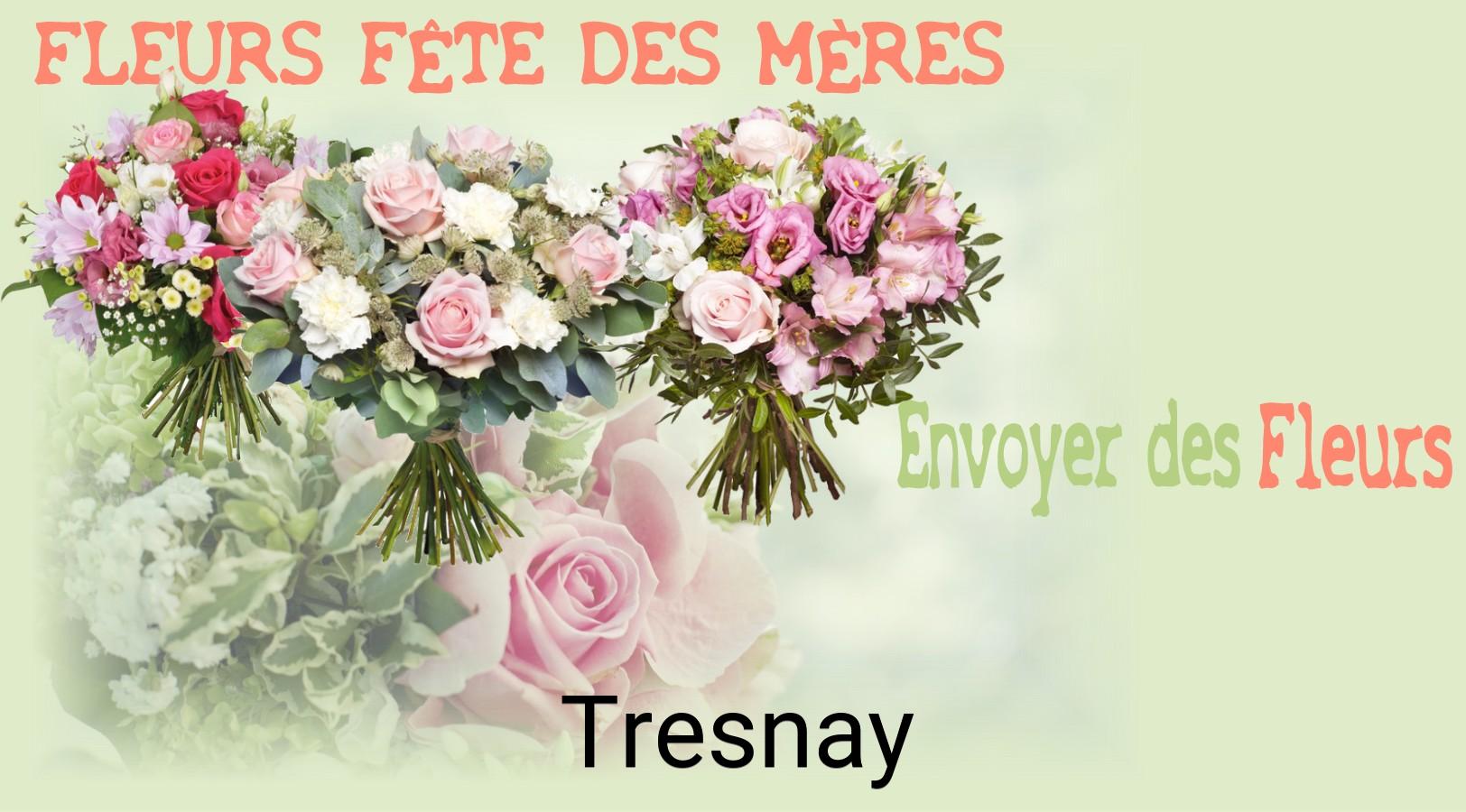 Bouquet de Fête des Mères livré à Tresnay